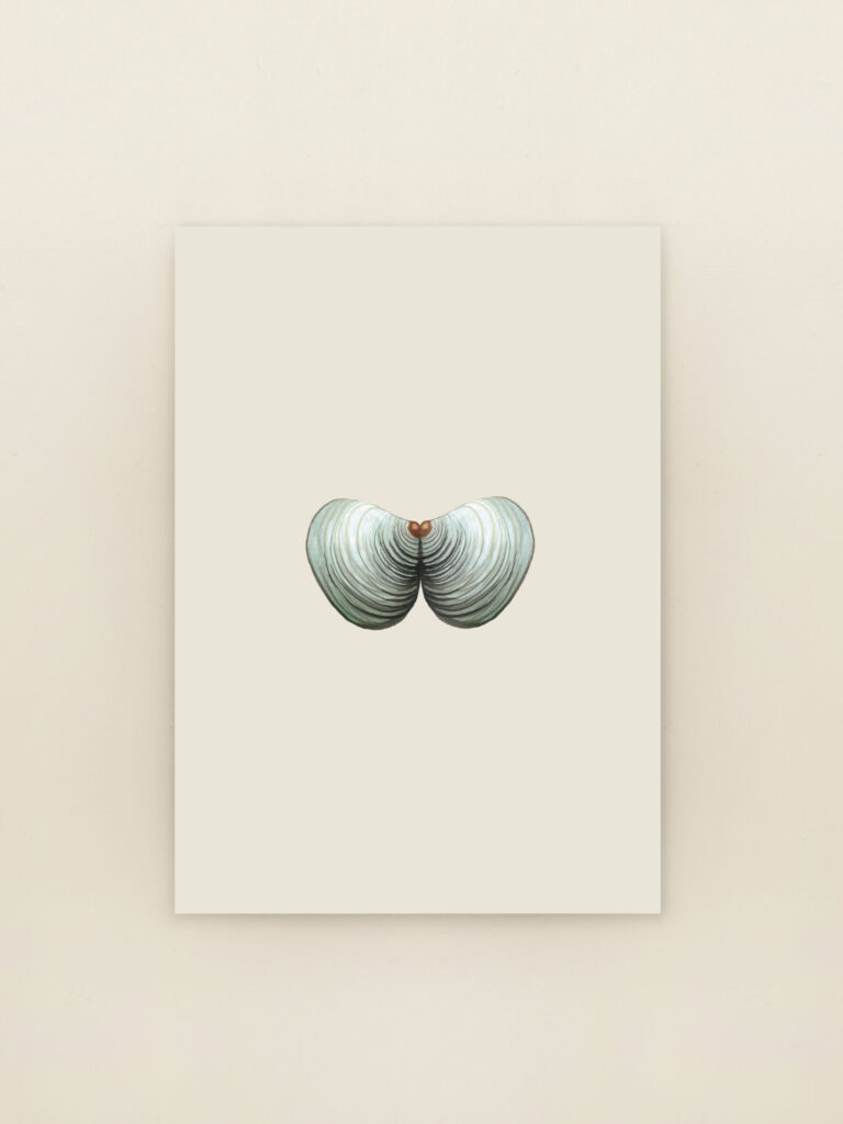 wenskaart A6 kokkels