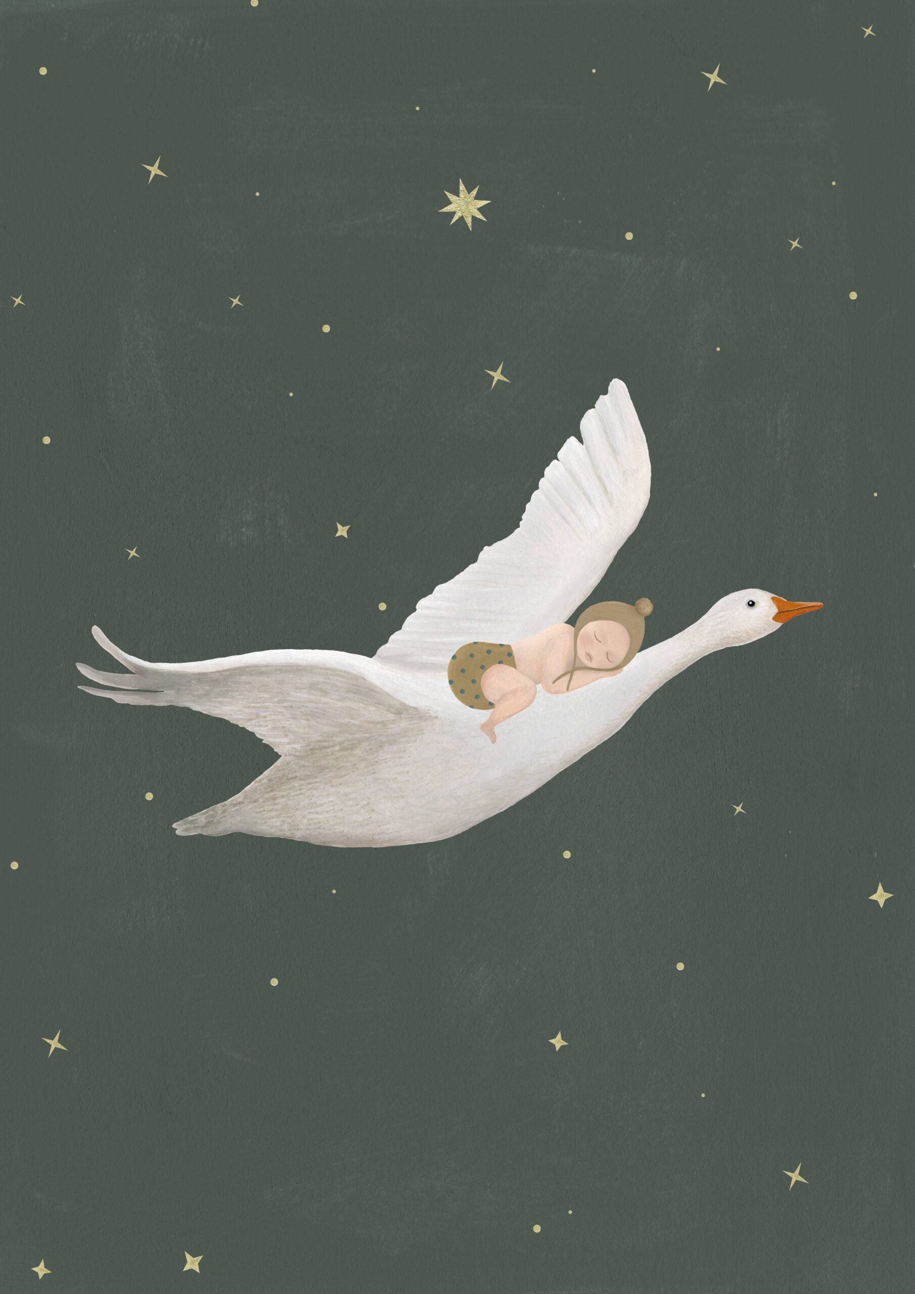 Geboortekaart Gans