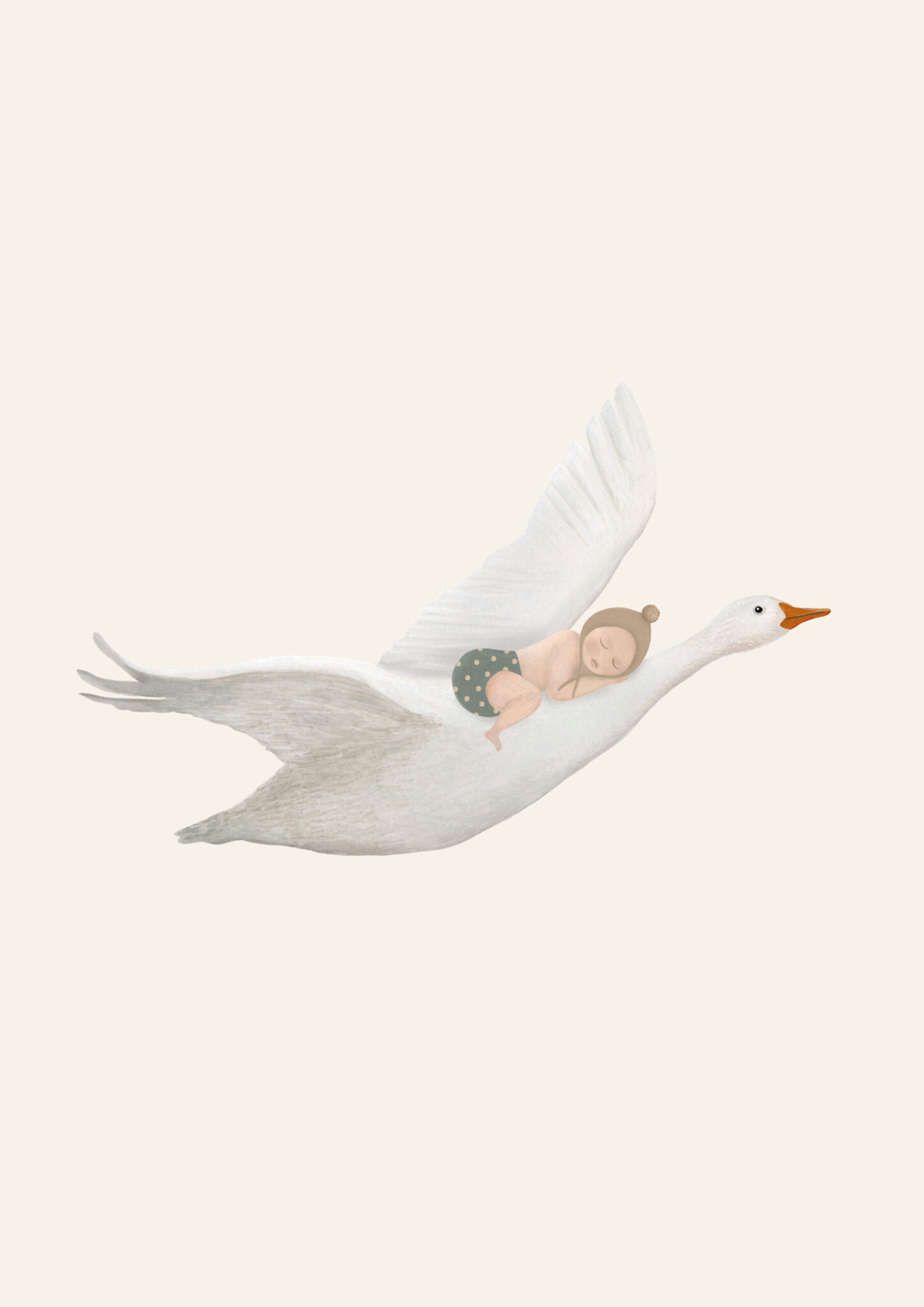 Geboortekaart Gans