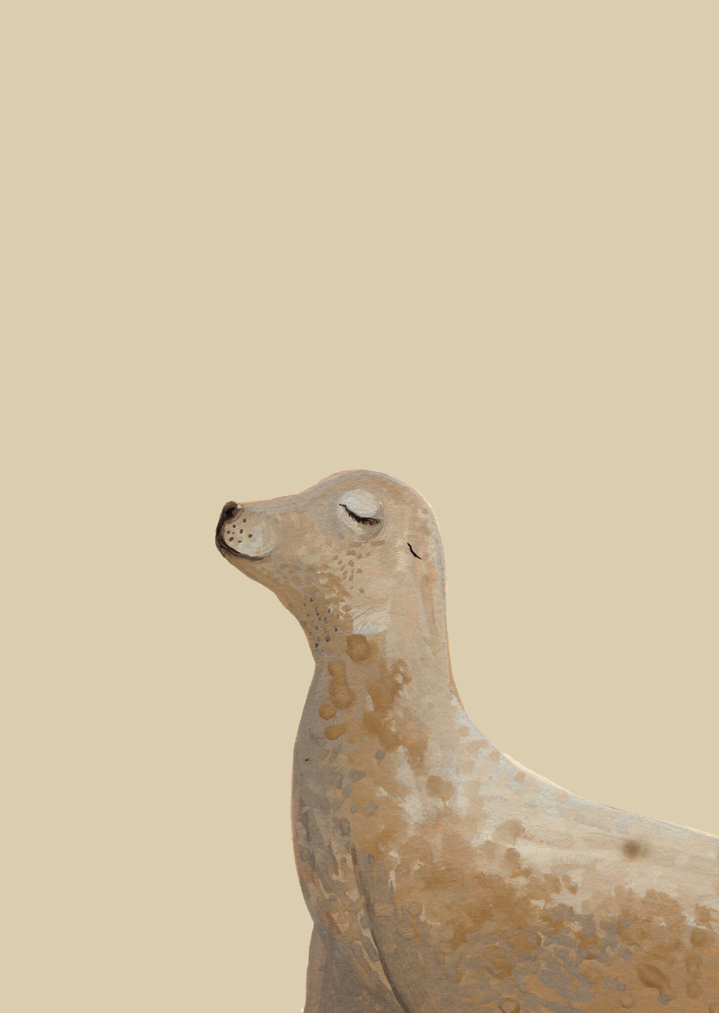 zeehond