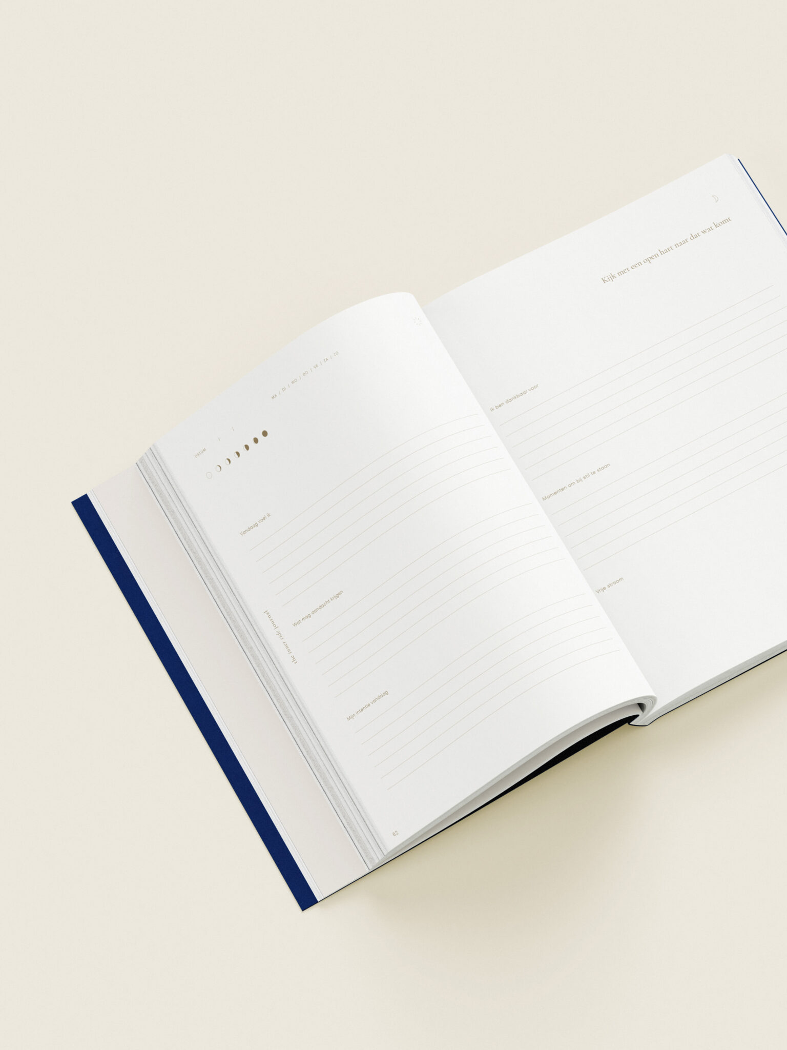 inner tide journal - 5 vragen